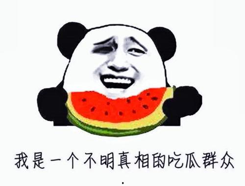 吃瓜娱乐是拳击还是相亲,揭秘拳击与相亲的跨界魅力