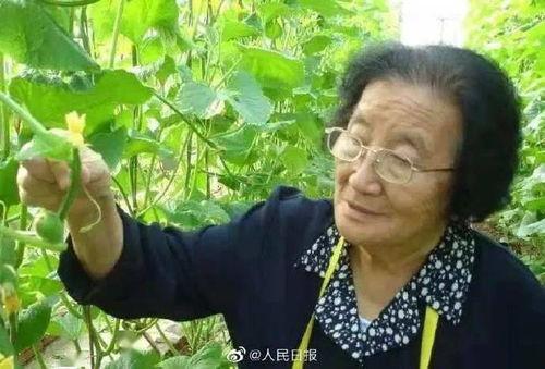 吃瓜娱乐是拳击还是相亲,揭秘拳击与相亲的跨界魅力