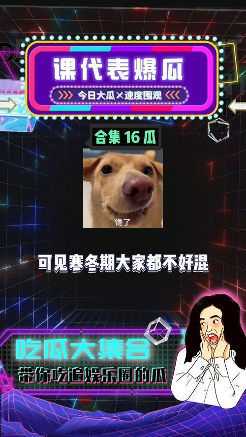 吃瓜娱乐代表,揭秘娱乐圈幕后故事