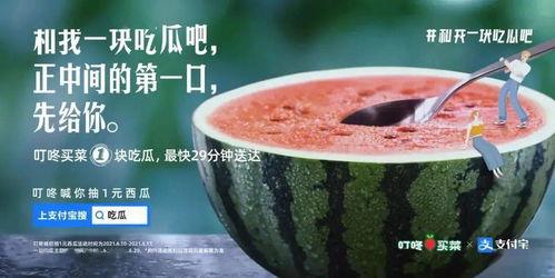 大娱乐吃瓜,大娱乐吃瓜，揭秘明星幕后故事