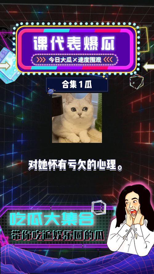 娱乐圈吃瓜综艺