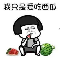 娱乐圈吃瓜必备